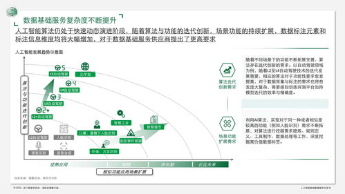 人工智能基础数据服务白皮书 数据驱动，软件赋能