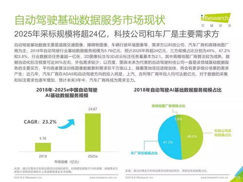 中国人工智能基础数据服务与基础软件开发行业报告